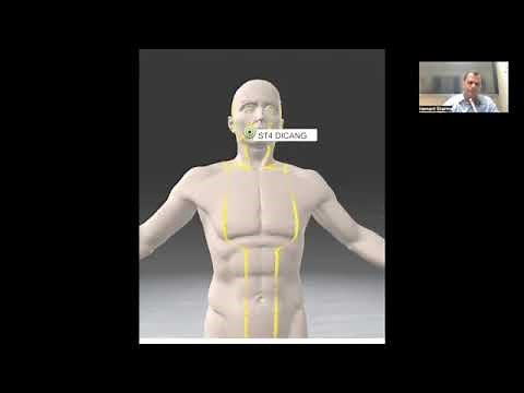 12 Meridians of the human body simplified way to learn them 5 May