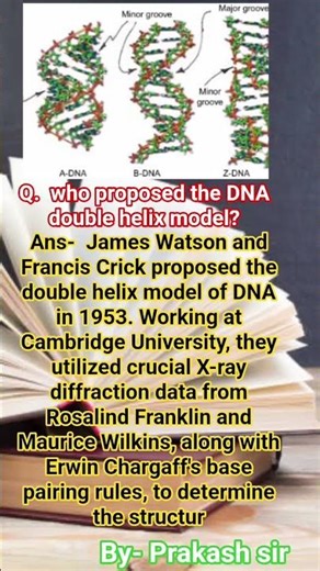 who proposed the DNA double helix model Watson Crick