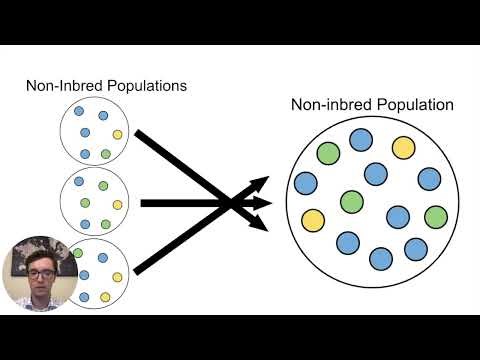 MCAT Question of the Day: Recessive Genetics