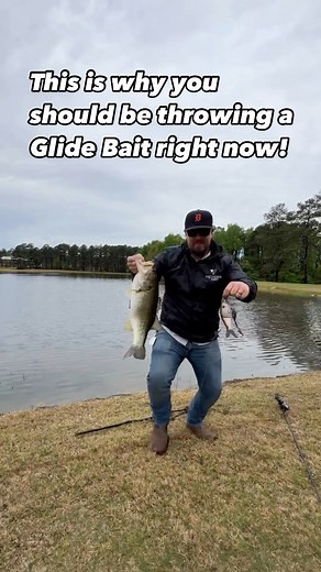 41K views · 485 reactions | Spring is a prime time to target...