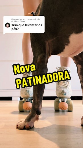 Como Andar de Patins: Dicas e Tutorial Completo