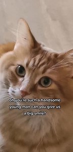 10K views · 686 reactions | he understood the assignment  | Walter the Catt | Facebook