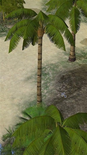 #sims2 #sims2letsplay #sims2castawaystory