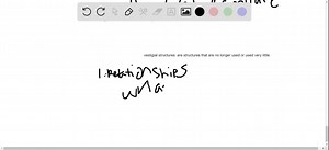 Why do scientists consider vestigial structures evidence for evolution? | Numerade