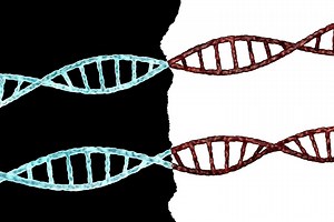 Why Do So Many Researchers Still Treat Race as a Scientific Concept?