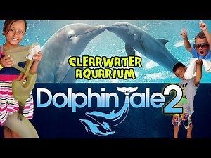 Meeting Winter & Hope from Dolphin Tale 2 @ Clearwater Aquarium July 2014 Florida Trip Part 3