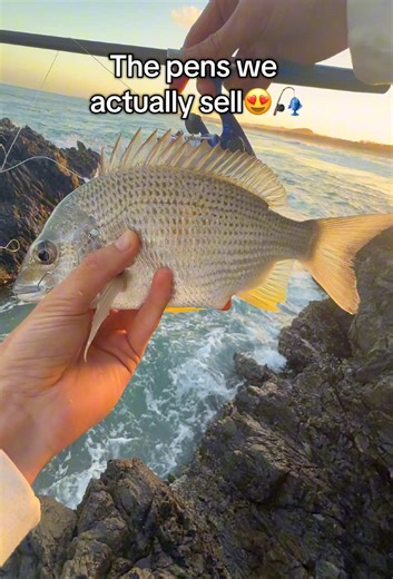 Explore Pen Fishing Rods for Catching Fish Effectively