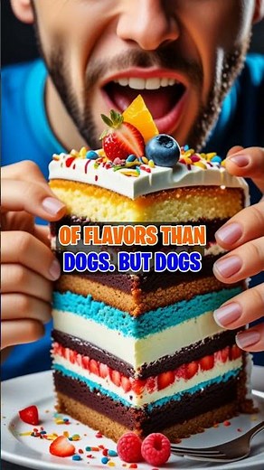 Dogs Taste Buds: A Tasty Surprise