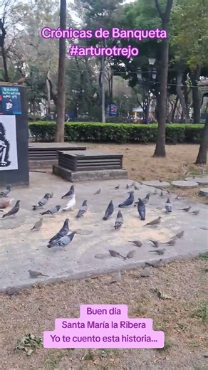 Buenos días señor sol #cronicasdebanquetatv #arturotrejo