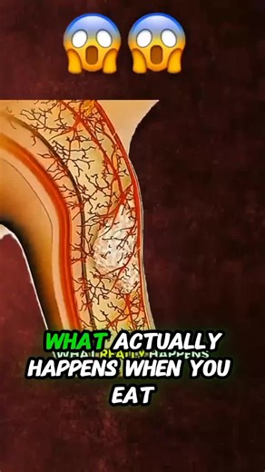 The Surprising Health Benefits of Eating Carrots Daily