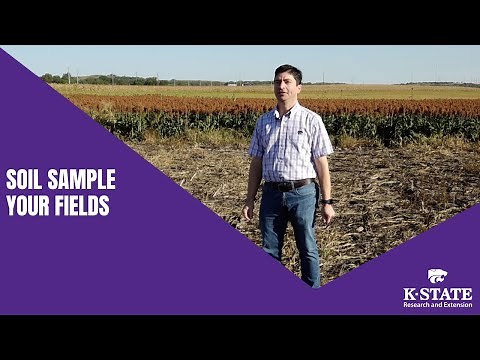 Taking Soil Samples In Field