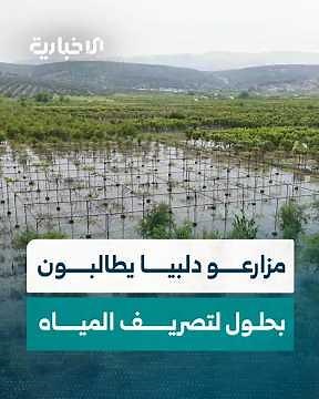مزارعو قرية دلبيا بريف إدلب يطالبون بإيجاد حلول عاجلة لتصريف المياه وسط مخاوف من تلف جذور الأشجار