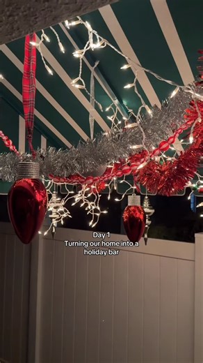 Nicholas + Ryan on Instagram: "We love holiday pop up bars, so we decided to make one at home. 🎄"