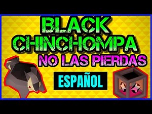 GUIA Como CAZAR BLACK CHINCHOMPAS ATRAPAR 800k [ESCAPAR DE LOS PK] Old School Runescape OSRS 2023