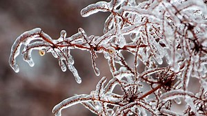 WATCH — The beauty and destruction of ice storms