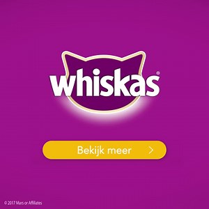 67K views · 1.5K reactions | Wil je alles te weten komen over jouw kitten? Ontdek het aan Whiskas Kitten Kollege: waar kittens van vandaag ontwikkelen tot de volwassen katten van morgen! | Whiskas Nederland | Facebook