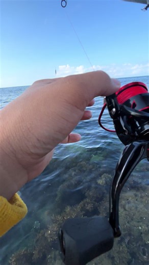Hilarious Fishing Prank You Won't Believe! 😂