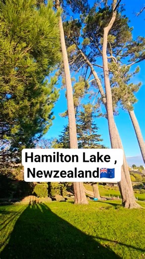 Hamilton Lake, New Zealand 🌊🌿 | Peaceful Evening Vibes | Abhay Vlogs #Shorts