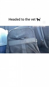 15K views · 246 reactions | That's the angriest backpack I've ever seen | Mr.B | Facebook