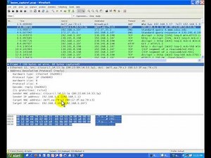 TCP/IP Lesson: Internet Layer - Internet Protocol (IP)