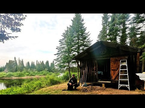 RESTORING AN OLD LOG CABIN IN THE MAINE WOODS (with a dog)