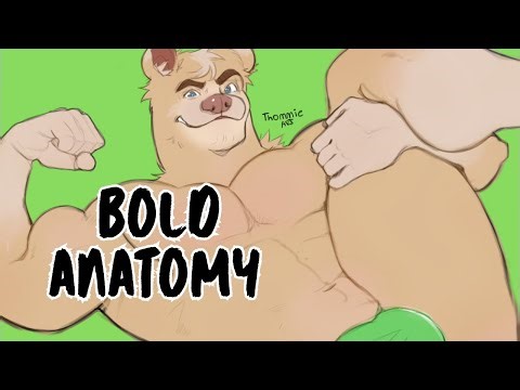 Bold Anatomy Practice | Furry Speedpaint