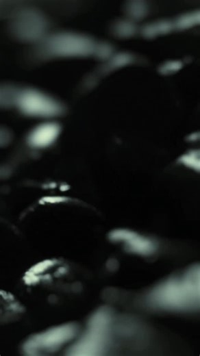 Warning: High decibel levels detected. Take necessary precautions. The @seahawks debut their Rivalries jerseys tomorrow in Seattle, Washington. | Nike Football