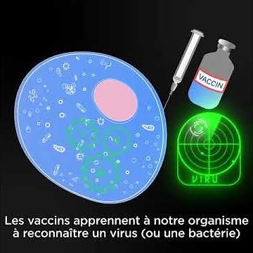 Tout comprendre sur les vaccins - Comment agit le vaccin contre la Covid-19 ?