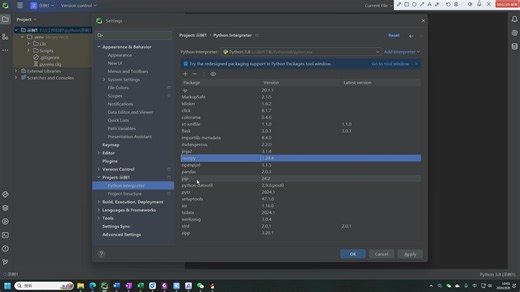 002.如何在pycharm中打开，已经安装好的pandas库