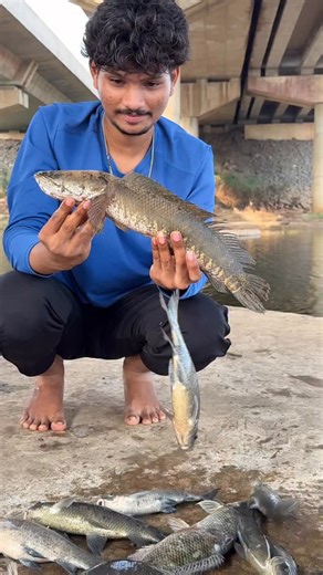 RRadventures Mini | Title: Big Rahu fish miss | triple hook Fishing | snake head Fish | RAVVU FISH | freshwater Fishing. Note: “Welcome to [RR adventures... | Instagram
