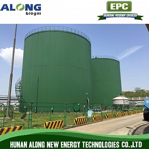 [Hot Item] Cstr Anaerobic Reaction Tank Biogas Digester