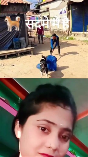 🐕 डॉग सदमे में है 🥵🤔 है #shortsviral #dogshorts #funny #reactionvideo #trendingshorts #funny #video