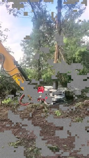 RSBM Grapple Saw Working