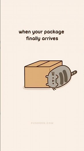 Pusheen: Package Arrival