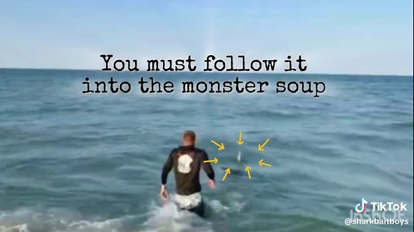 Hammerhead Shark vs. Fisherman: An Epic Battle