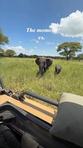 17 reactions | Michael Kelly on Reels | Facebook