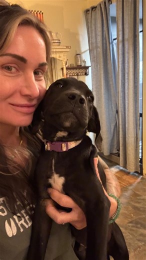 Stay Wild: On the road again rescuing more pups! | Stay Wild: Wildlife and Domestic Rescue and Rehabilitation