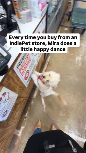 We 💙 IndiePet! This Small Business Saturday, use our store locator to find a neighborhood shop near you. | My Perfect Pet