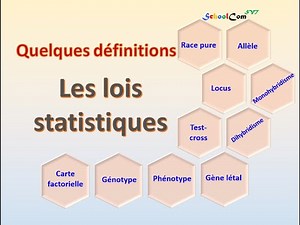 Quelques définitions - Les lois statistiques