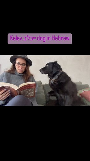 The Hebrew language gives names according to their essence. It’s no wonder the Hebrew word for ‘dog’ is nearly the same word as ‘heart’! | Yael Eckstein