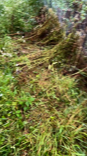 The hand caught the track. | Charlie Yang