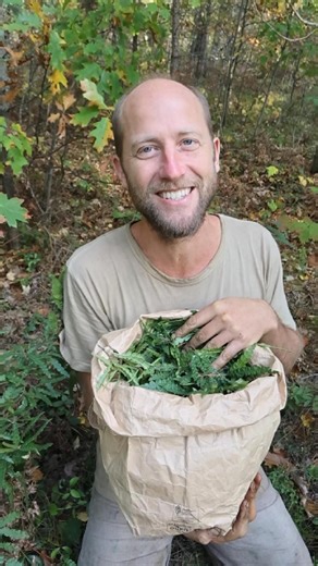 Meet my friend Sweet Fern! | Robin Greenfield