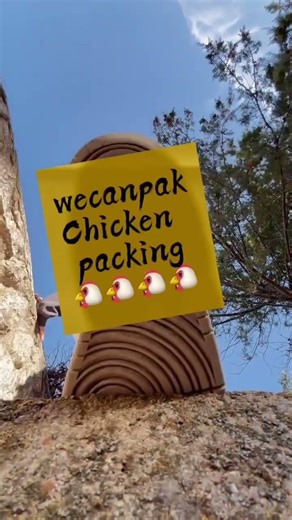Whole chicken packing machine
