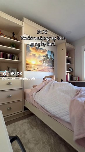 Transform Your Space with Custom Murphy Beds!