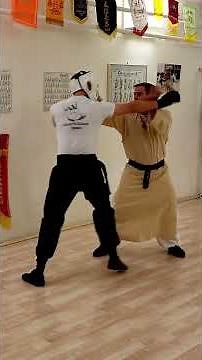 How to Kung Fu II Real Hung Gar!