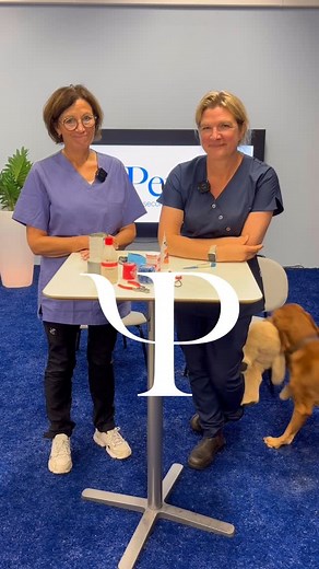 247 reactions | Har du rätt saker hemma om något händer din hund eller katt? ⛑️ Våra veterinärer Sofia Müller och Bente Akselsen går igenom vad som ska finnas i ditt första hjälpen-kit.  Se hela videon, det här är kunskap du vill ha när det verkligen gäller. | Petson | Facebook