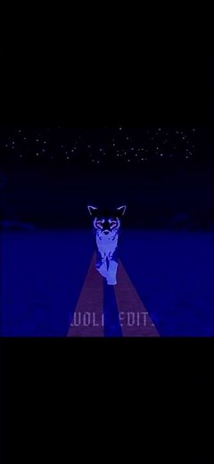 I’m running with the wolves tonight || #wcue #edit #wolves #nighttime