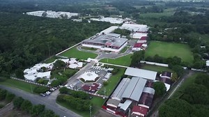Mexico hopes to eradicate screwworm with new sterile fly plant