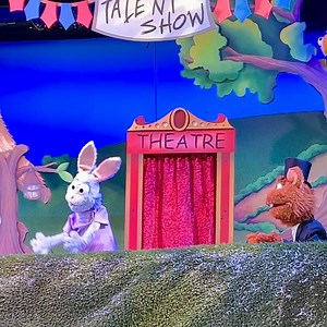 Dutch Wonderland on Reels