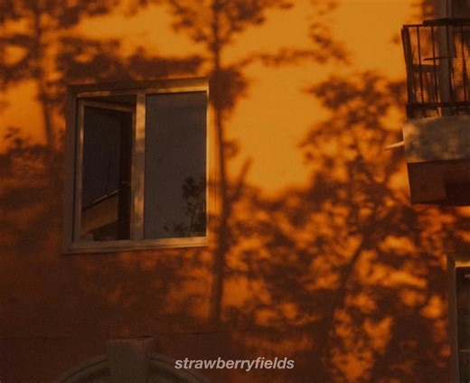 The Weeknd - Give Me Mercy | 𝐬𝐭𝐫𝐚𝐰𝐛𝐞𝐫𝐫𝐲𝐟𝐢𝐞𝐥𝐝𝐬